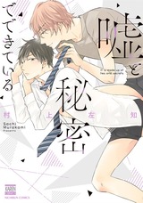 嘘と秘密でできている パッケージ画像表