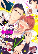 きみへの好きが止まらない【電子限定描き下ろし付き】【コミックス版】 パッケージ画像表