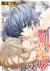 悪魔契約少女 2巻 パッケージ画像表