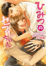 ひみつのセフレちゃん(4)~しあわせ夫婦編~ パッケージ画像表