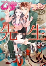 先生【乙蜜マンゴスチン VOL.23】 パッケージ画像表