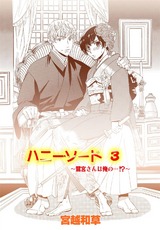 ハニー・ソード 3 パッケージ画像表