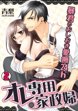 オレ専用家政婦~暴君のおしおき愛撫24h~(2) パッケージ画像表