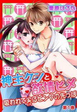 神主クンと欲情ヒメ~吸われて尖るピンクの先っぽ~ 第1巻 パッケージ画像表