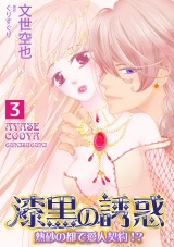 漆黒の誘惑~熱砂の都で愛人契約!?~ 3巻 パッケージ画像表