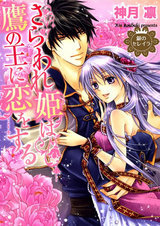 銀のセレイラ2 さらわれ姫は鷹の王に恋をする1 パッケージ画像表