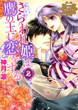 銀のセレイラ3 さらわれ姫は鷹の王に恋をする2 パッケージ画像表