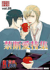 BL恋愛専科 VOL.28 禁断愛特集 パッケージ画像表