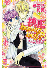 純正honey boy? パッケージ画像表