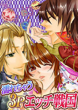 濡れちゃう3Pエッチ戦国2 パッケージ画像表