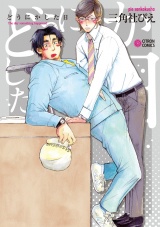 どうにかした日 パッケージ画像表