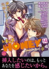 b-BOY HONEY (14) エロ合体特集 パッケージ画像表
