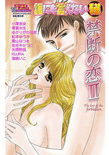 誰にも言えないマル秘 Vol.12 禁断の恋Ⅱ パッケージ画像表