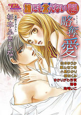 誰にも言えないマル秘 Vol.15 略奪愛 パッケージ画像表