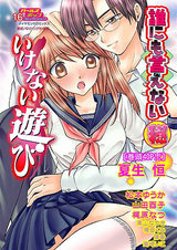 誰にも言えないマル秘 Vol.16 いけない遊び パッケージ画像表