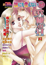 誰にも言えないマル秘 Vol.21 究極のH パッケージ画像表