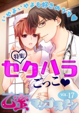 セクハラごっこ【乙蜜マンゴスチン VOL.17】 パッケージ画像表