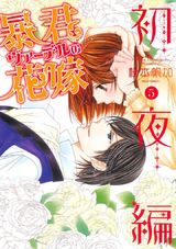 暴君ヴァーデルの花嫁 初夜編 5 パッケージ画像表