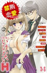 禁断恋愛Remix 14 パッケージ画像表