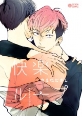 快楽ループ パッケージ画像表