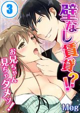 壁なし賃貸!?お兄ちゃん見ちゃダメッ!(3) パッケージ画像表
