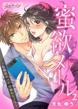 蜜欲メール~危険なエッチで壊れちゃう~(2) パッケージ画像表