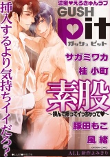 GUSHpit 素股〜挟んで擦ってイっちゃってv〜 パッケージ画像表
