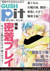 GUSHpit 密着プレイ~ちょっと動かないでよ、勃っちゃう!~ パッケージ画像表