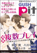 GUSHpit 複数プレイ~入り乱れるオトコたちの淫らな情事~ パッケージ画像表