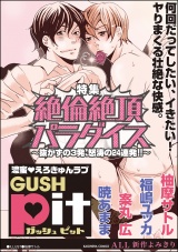 GUSHpit 絶倫絶頂パラダイス~抜かずの3発、怒涛の24連発!!~ パッケージ画像表