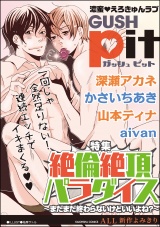 GUSHpit 絶倫絶頂パラダイス~まだまだ終わらないけどいいよね?~ パッケージ画像表