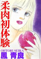 柔肉初体験 パッケージ画像表