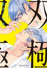 双極 パッケージ画像表