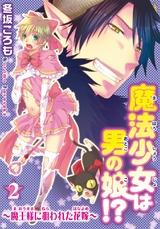 魔法少女は男の娘!?～魔王様に狙われた花嫁～2 パッケージ画像