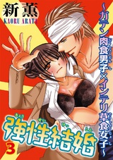 強性結婚～ガテン肉食男子×インテリ草食女子～3 パッケージ画像