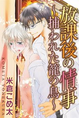 放課後の情事～捕らわれた籠の鳥～ パッケージ画像