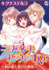 一妻多夫　私の夫が4人!?　～村の掟と巫女の秘密～3 パッケージ画像
