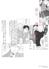 みっともない恋 パッケージ画像裏