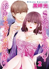 S系バーテンダー 淫らなカラダは恋に酔う2 パッケージ画像