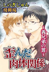 歪んだ肉体関係～義兄弟の罪～ パッケージ画像