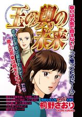 玉の輿の未来 パッケージ画像表
