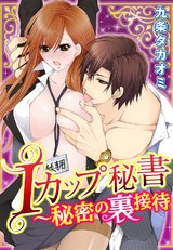 Iカップ秘書～秘密の裏接待 パッケージ画像