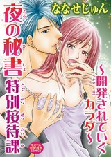 夜の秘書特別接待課～開発されていくカラダ～ パッケージ画像