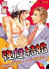 強性結婚～ガテン肉食男子×インテリ草食女子～11 パッケージ画像