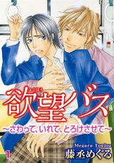 欲望バス～さわって、いれて、とろけさせて～1 パッケージ画像