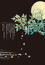 極夜 パッケージ画像裏