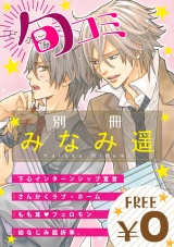 【無料】ビーボーイ旬コミ 別冊「みなみ遥」 パッケージ画像表