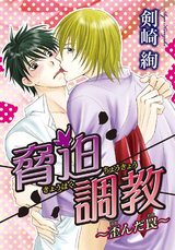 脅迫調教　～歪んだ罠～ パッケージ画像