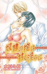 奴●の掟は甘く淫らに（3） パッケージ画像