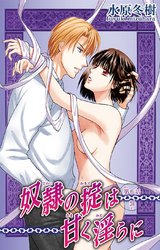 奴●の掟は甘く淫らに（6） パッケージ画像